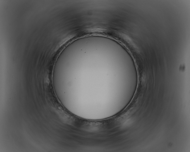 X0000092251209200710051252