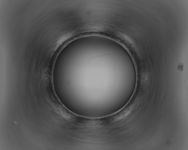 X0000092251210200710051252