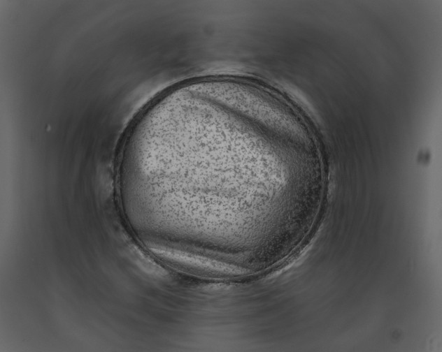 X0000092251212200710051252