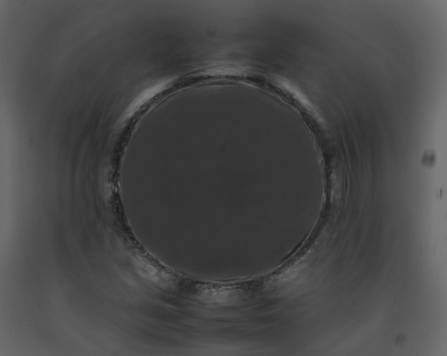 X0000092251213200710051252