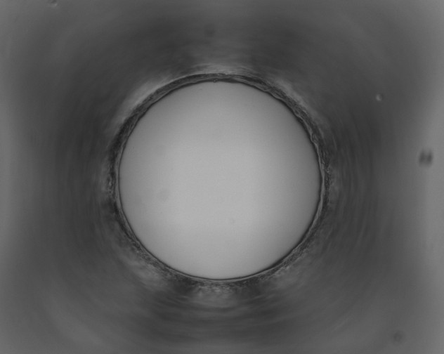 X0000092251215200710051252