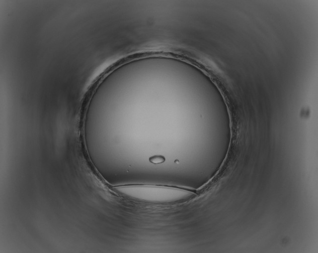 X0000092251216200710051252