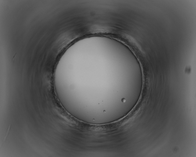 X0000092251217200710051252