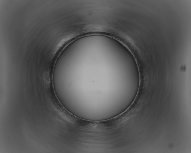 X0000092251218200710051252