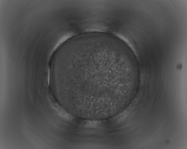 X0000092251219200710051252