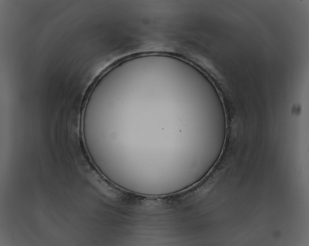 X0000092251220200710051252