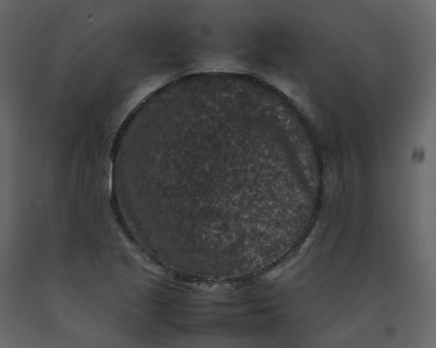 X0000092251221200710051252