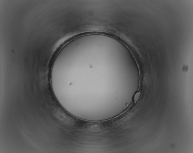 X0000092251222200710051252