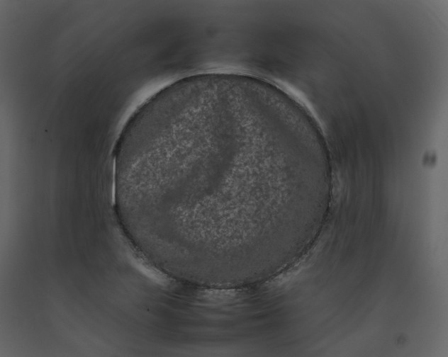 X0000092251223200710051252