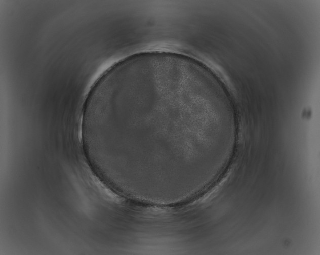 X0000092251224200710051252