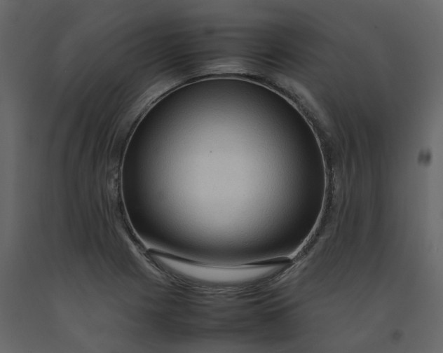 X0000092251225200710051252