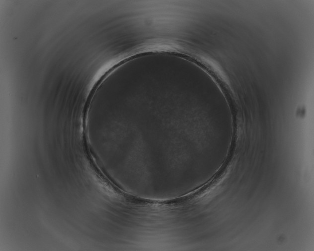 X0000092251226200710051252