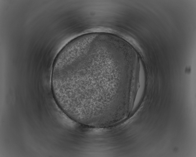 X0000092251228200710051252