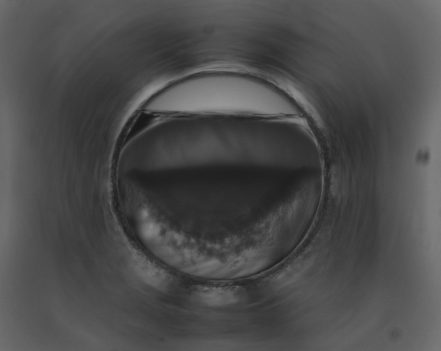 X0000092251229200710051252