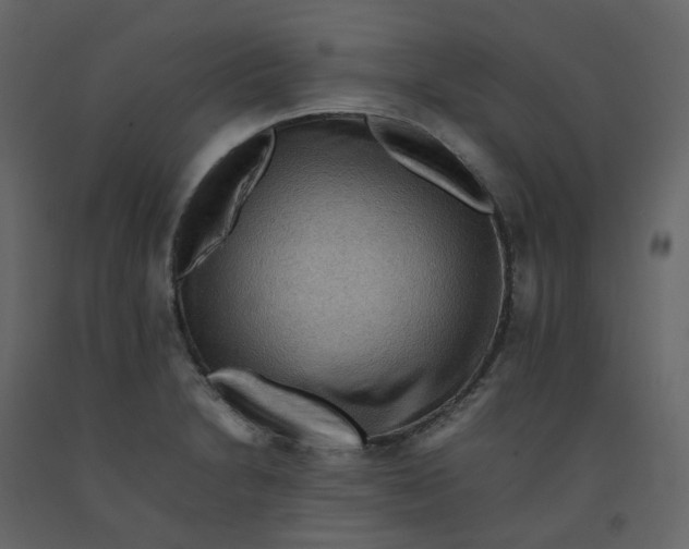 X0000092251230200710051252