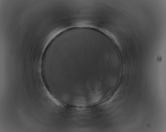 X0000092251231200710051252