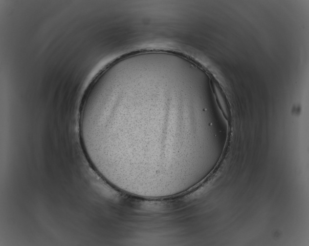 X0000092251232200710051252