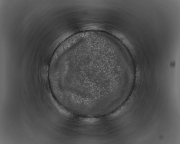 X0000092251233200710051252