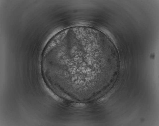 X0000092251235200710051252