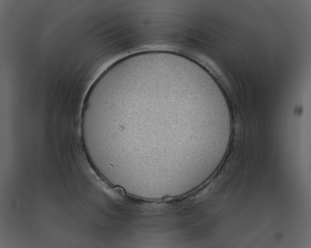 X0000092251236200710051252