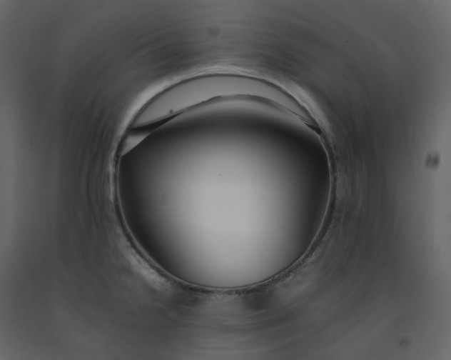 X0000092251238200710051252