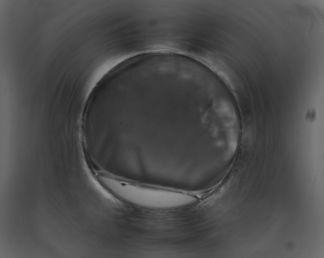 X0000092251239200710051252