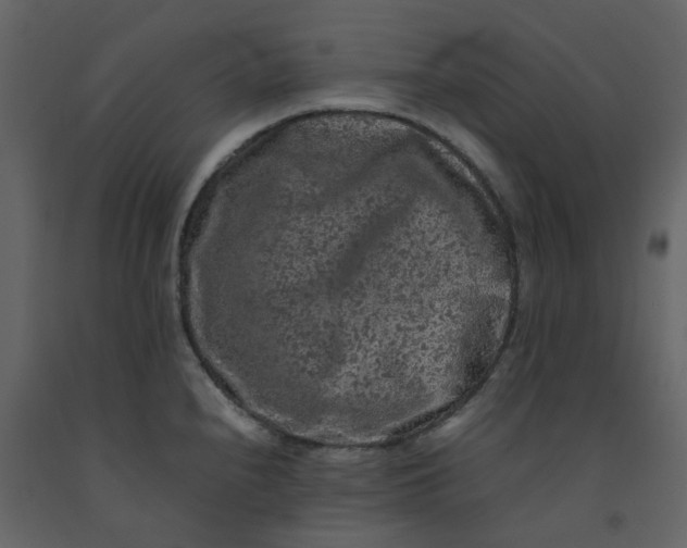 X0000092251240200710051252