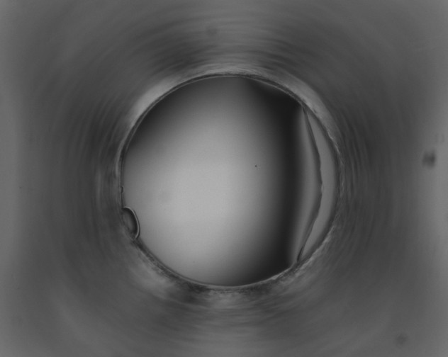 X0000092251242200710051252