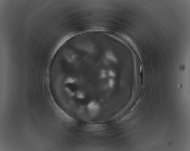 X0000092251243200710051252