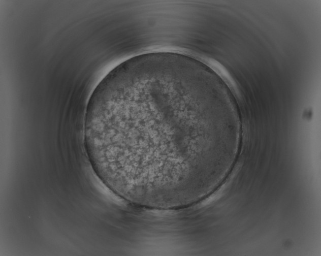 X0000092251244200710051252