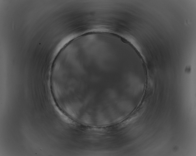 X0000092251245200710051252