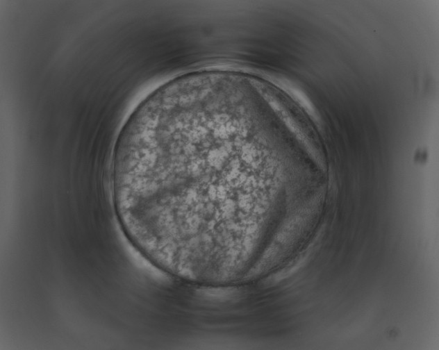 X0000092251247200710051252