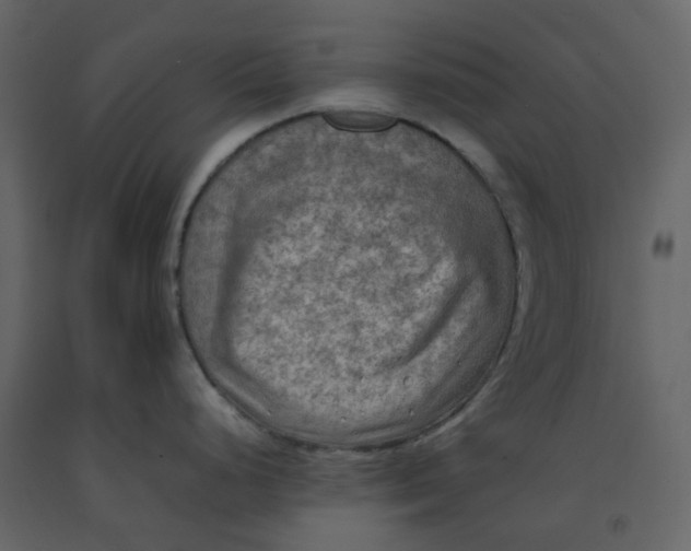 X0000092251248200710051252