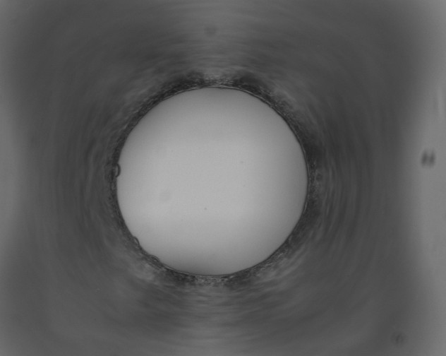 X0000092251249200710051252