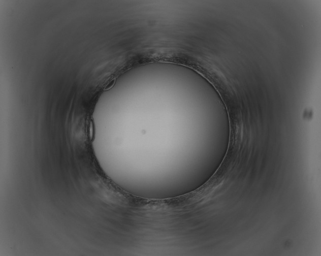 X0000092251250200710051252