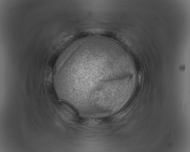 X0000092251251200710051252