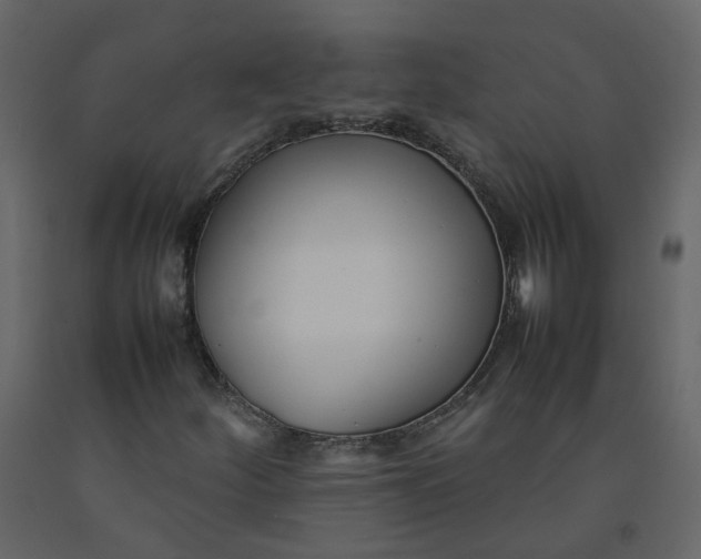 X0000092251252200710051252