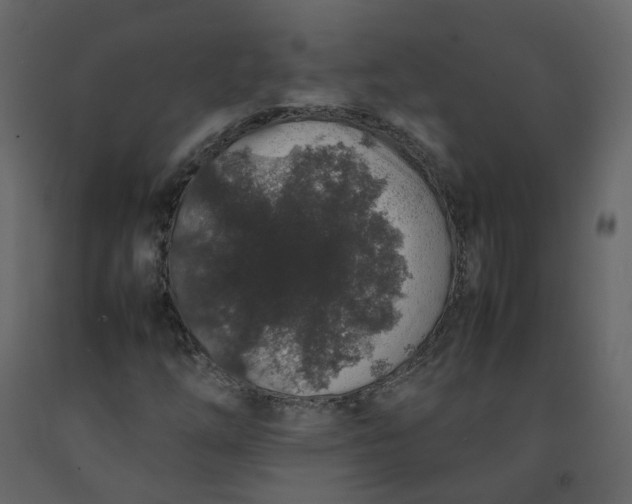 X0000092251254200710051252