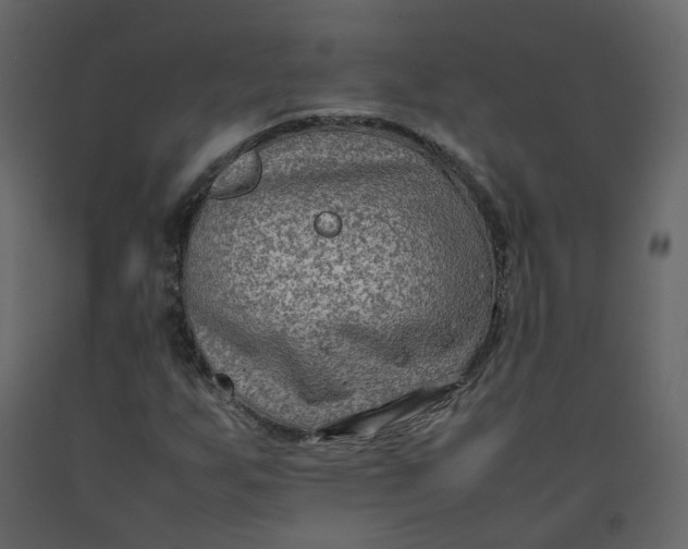 X0000092251255200710051252