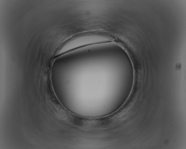 X0000092251257200710051252