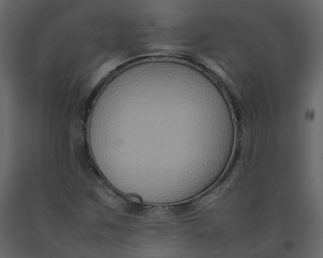 X0000092251259200710051252