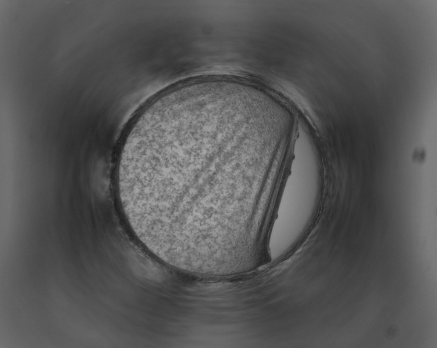 X0000092251260200710051252