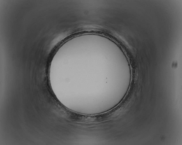 X0000092251261200710051252