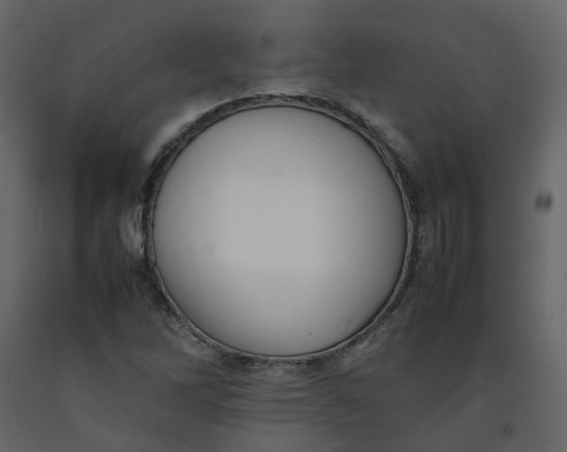 X0000092251262200710051252