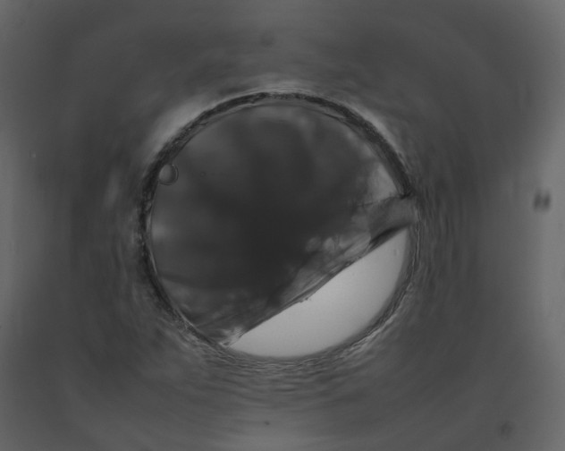 X0000092251263200710051252