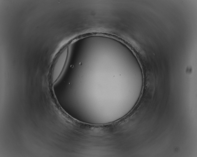 X0000092251264200710051252