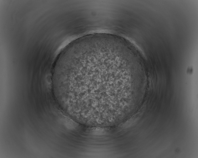 X0000092251266200710051252