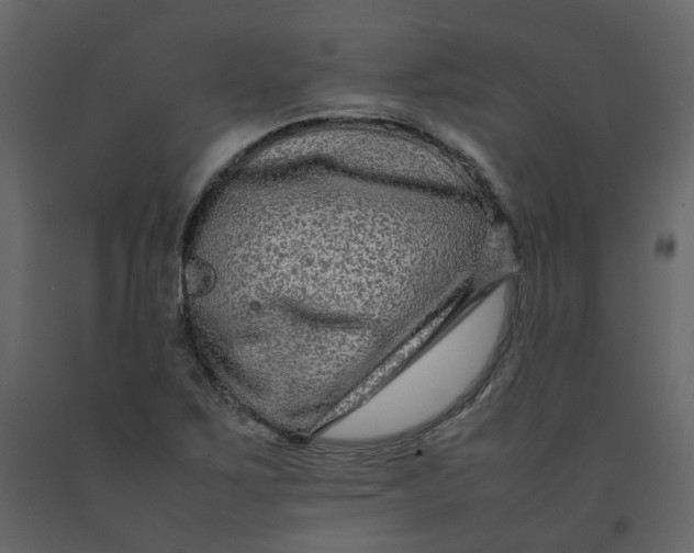 X0000092251267200710051251