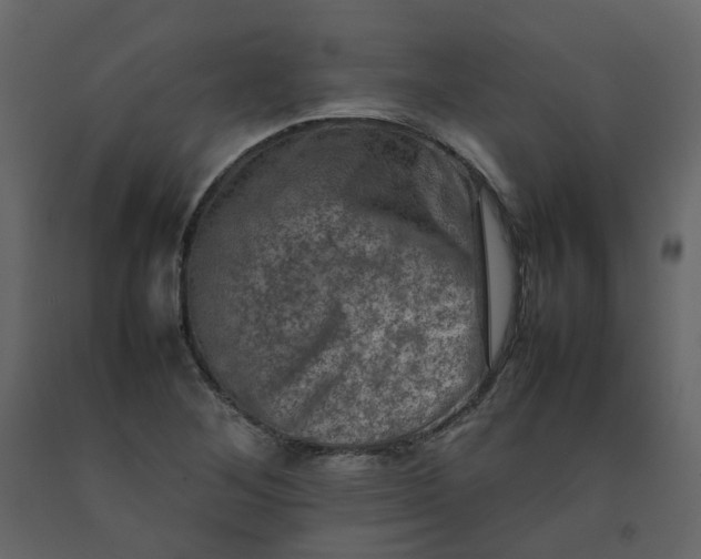 X0000092251268200710051251