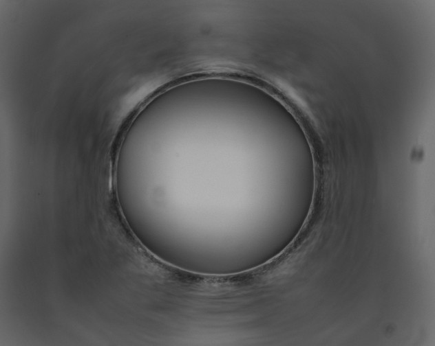 X0000092251269200710051251